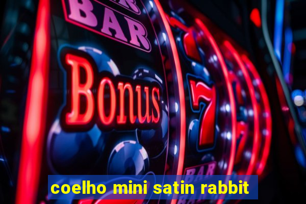 coelho mini satin rabbit